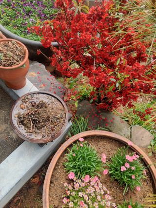 재연농장님의 자유주제 · 자유게시판 작성글 사진