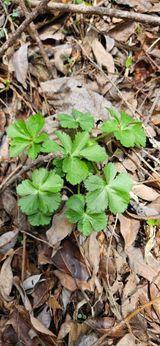 팜모닝 자유주제·자유게시판 게시글 이미지