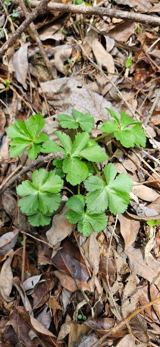 이충식님의 자유주제 · 자유게시판 작성글 사진