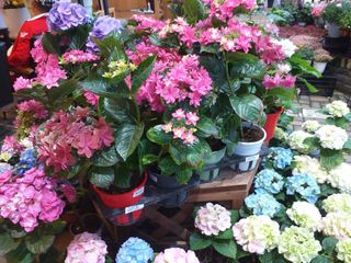 박웅님의 자유주제 · 자유게시판 작성글 사진