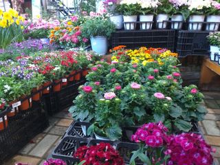 박웅님의 자유주제 · 자유게시판 작성글 사진