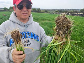 한경훈님의 자유주제 · 자유게시판 작성글 사진