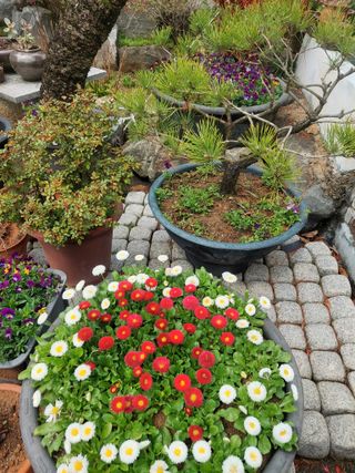 재연농장님의 자유주제 · 자유게시판 작성글 사진