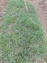 별빛농장지기님의 자유주제·자유게시판 작성글 사진