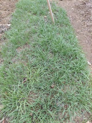 별빛농장지기님의 자유주제 · 자유게시판 작성글 사진