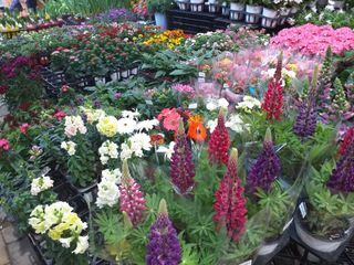 박웅님의 자유주제 · 자유게시판 작성글 사진