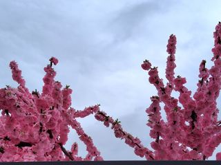 MSG0074님의 자유주제 · 자유게시판 작성글 사진