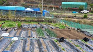 오현성님의 자유주제 · 자유게시판 작성글 사진