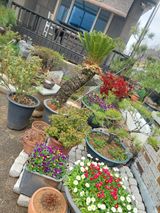 팜모닝 자유주제·자유게시판 게시글 이미지