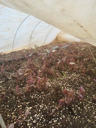 당진수농원박선이님의 자유주제 · 자유게시판 작성글 사진