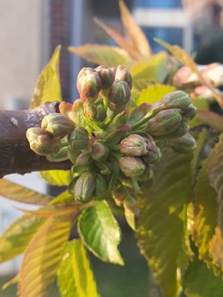 하나라도 소중하게님의 자유주제 · 자유게시판 작성글 사진