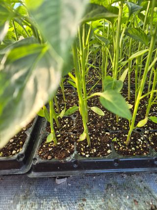 김영진(전남영광)님의 자유주제 · 자유게시판 작성글 사진