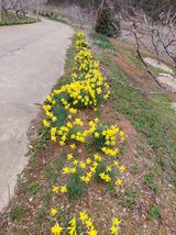 팜모닝 자유주제·자유게시판 게시글 이미지