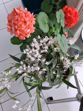 MSG0074님의 자유주제 · 자유게시판 작성글 사진