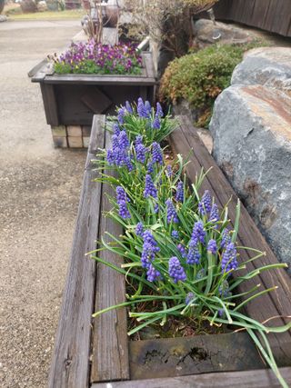 재연농장님의 자유주제 · 자유게시판 작성글 사진
