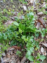 팜모닝 자유주제·자유게시판 게시글 이미지