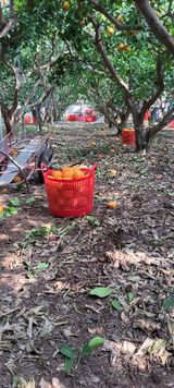 한희철님의 자유주제·자유게시판 작성글 사진