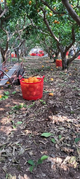 한희철님의 자유주제 · 자유게시판 작성글 사진