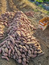 조순귀창원성산구사파님의 자유주제·자유게시판 작성글 사진