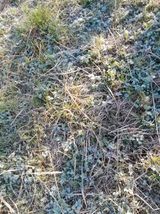 김민수산에서농사중님의 자유주제·자유게시판 작성글 사진