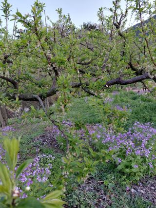 심무재 님의 자유주제 · 자유게시판 작성글 사진