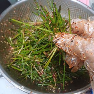 삼성농산님의 자유주제 · 자유게시판 작성글 사진