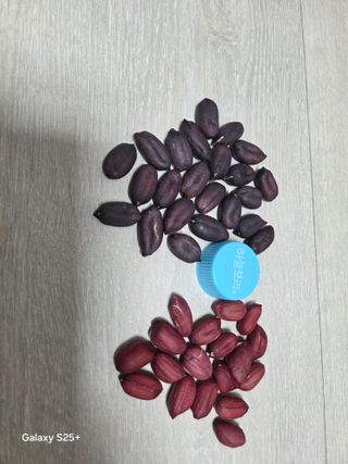 김현정님의 자유주제 · 자유게시판 작성글 사진