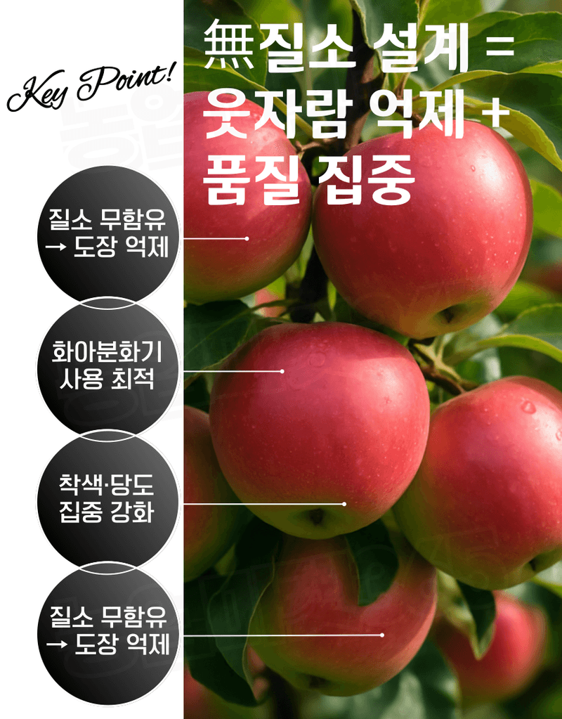 농업마켓365님의 장터 판매 상품 [융전 피틴골드S 액제 1L 피틴산 쌀눈추출물 비대제 당도제 착색제 식물영양제 비료] 첨부 사진