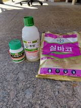 팜모닝 자유주제·자유게시판 게시글 이미지