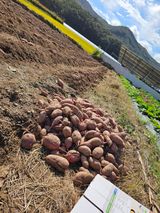 조순귀창원성산구사파님의 자유주제·자유게시판 작성글 사진