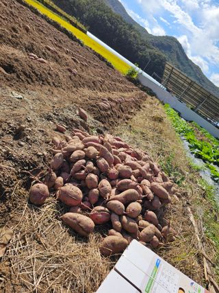 조순귀창원성산구사파님의 자유주제 · 자유게시판 작성글 사진