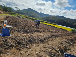 조순귀창원성산구사파님의 자유주제 · 자유게시판 작성글 사진