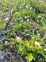 (복조리농장)김찬두님의 자유주제·자유게시판 작성글 사진