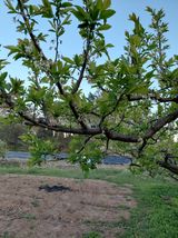 심무재 님의 자유주제·자유게시판 작성글 사진