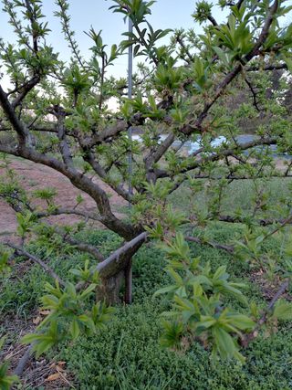 심무재 님의 자유주제 · 자유게시판 작성글 사진