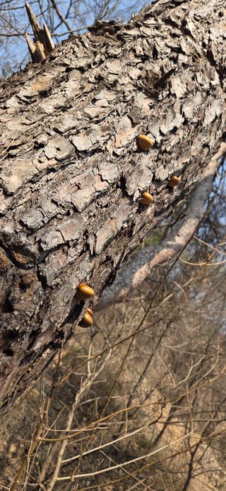 콩13563님의 자유주제 · 자유게시판 작성글 사진