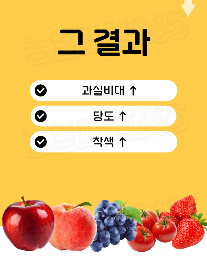 농업마켓365님의 장터 판매 상품 [융전 피틴골드S 액제 1L 피틴산 쌀눈추출물 비대제 당도제 착색제 식물영양제 비료] 첨부 사진