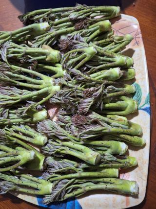 정도영님의 자유주제 · 자유게시판 작성글 사진