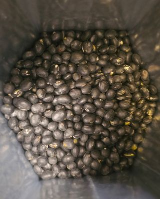 5도2촌님의 자유주제 · 자유게시판 작성글 사진