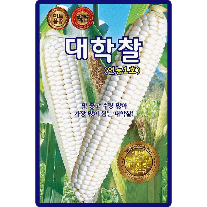 장터 상품 [[히트] 대학찰 옥수수 씨앗 70립 연농1호 옥수수씨 종자] 썸네일