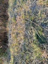 팜모닝 자유주제·자유게시판 게시글 이미지