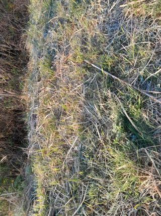 김민수산에서농사중님의 자유주제 · 자유게시판 작성글 사진