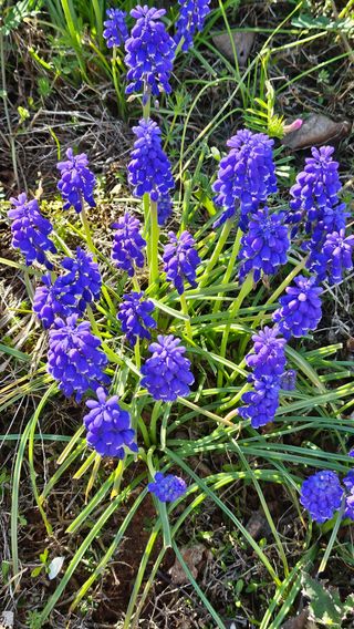 유기농으로키우자님의 자유주제 · 자유게시판 작성글 사진