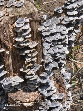 천호산인님의 자유주제·자유게시판 작성글 사진