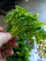 이정식님의 자유주제·자유게시판 작성글 사진