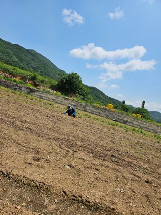 조순귀창원성산구사파님의 자유주제 · 자유게시판 작성글 사진