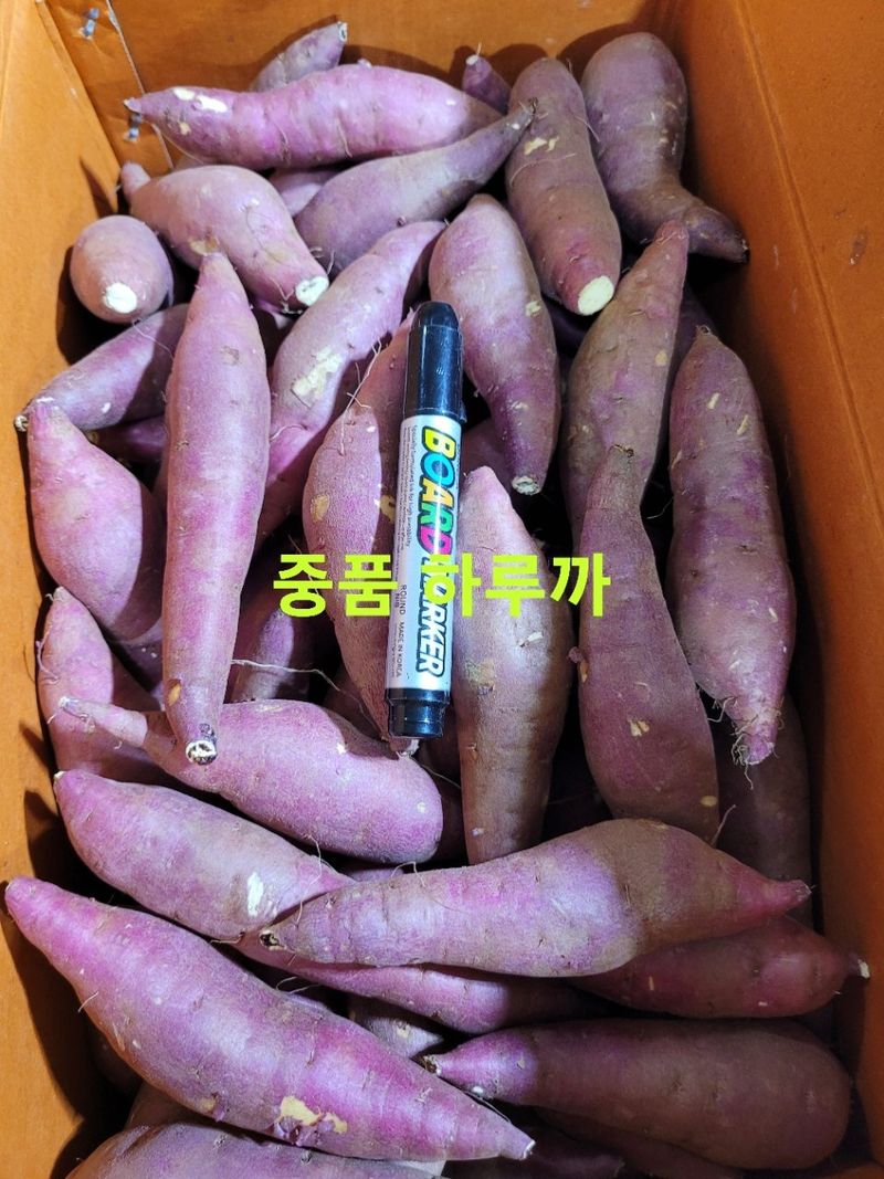 사랑꽃농장님의 장터 판매 상품 [두입 꿀 이찌 하루까 고구마 10kg] 첨부 사진