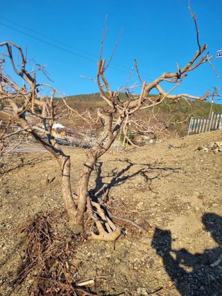 김용대님의 자유주제 · 자유게시판 작성글 사진