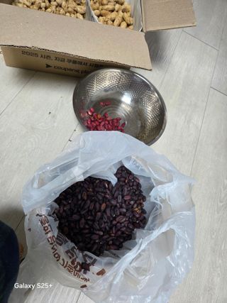 김현정님의 자유주제 · 자유게시판 작성글 사진