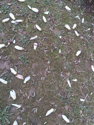 김석순 대암산아랫말님의 자유주제 · 자유게시판 작성글 사진